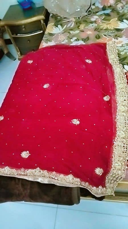 bridal dress pure red colour 3