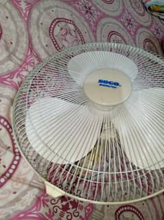 deewar wala  Fan For Sale 1100