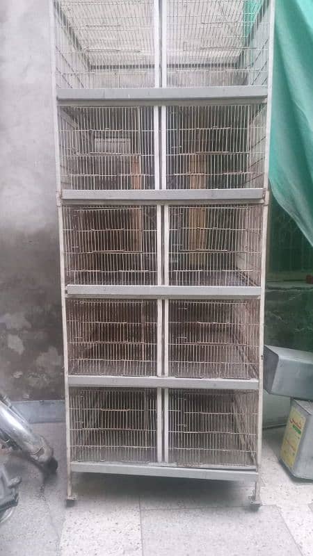 Birds Cage 0