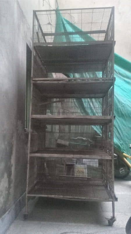 Birds Cage 2