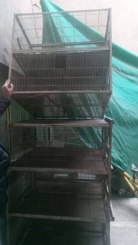 Birds Cage 3