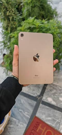 ipad mini 6