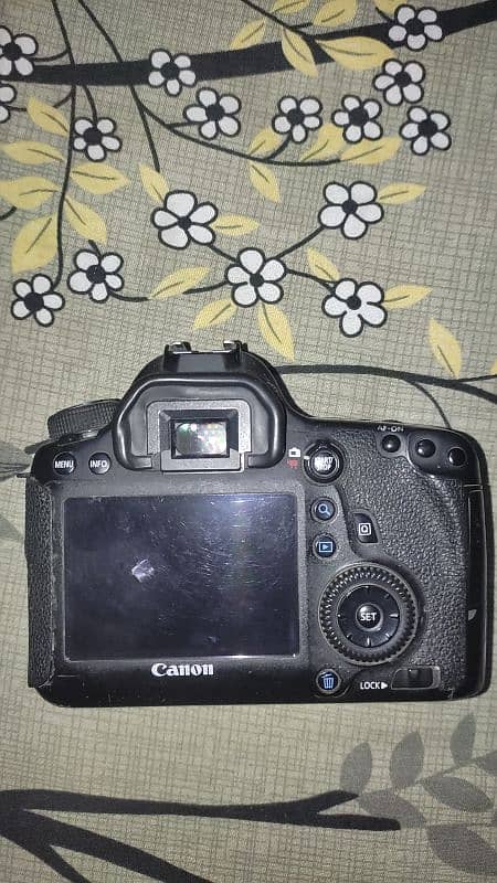 Canon 6D with All Accessories 0