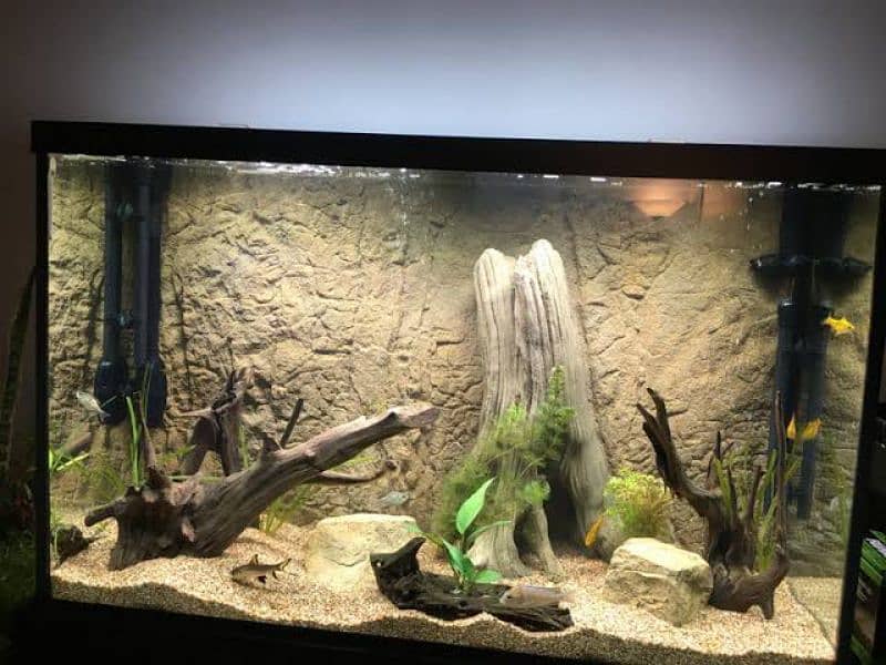 aquarium for sale pro diy rockry and 3d diy aquarium 2