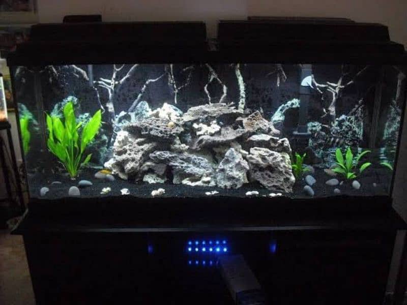 aquarium for sale pro diy rockry and 3d diy aquarium 3