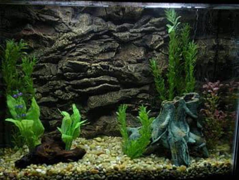 aquarium for sale pro diy rockry and 3d diy aquarium 5