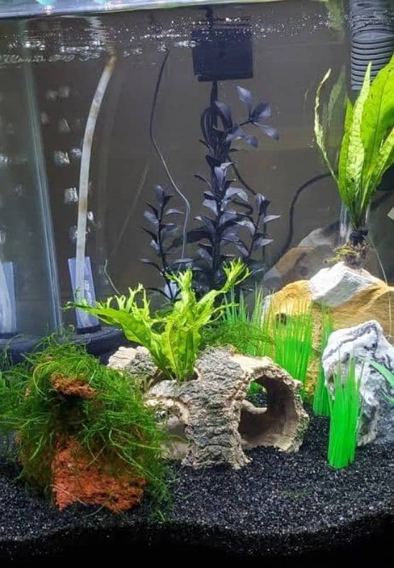 aquarium for sale pro diy rockry and 3d diy aquarium 7