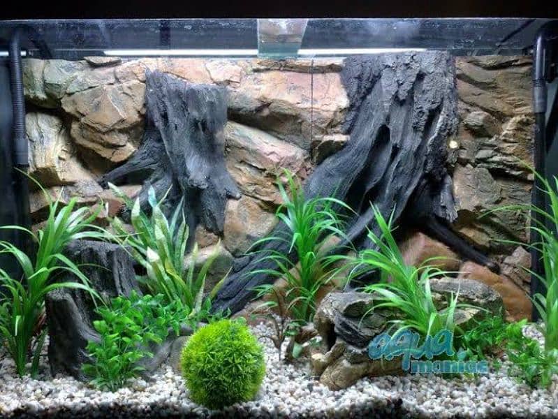 aquarium for sale pro diy rockry and 3d diy aquarium 8