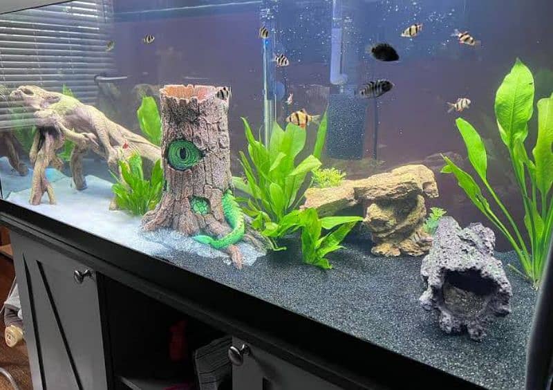 aquarium for sale pro diy rockry and 3d diy aquarium 10