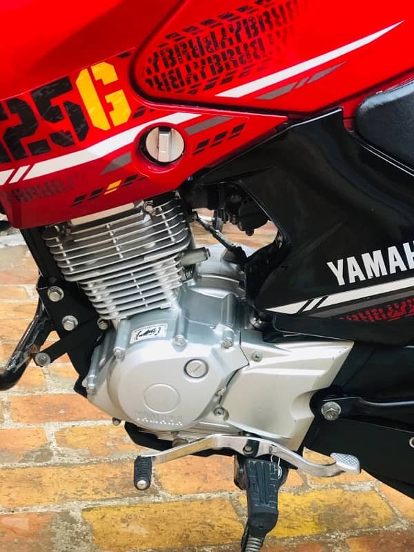 Yamaha YBR G 125 cc Blu beauty 9