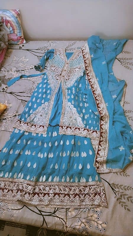 Lehenga with an open shirt 0