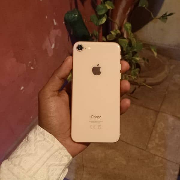 iphone 8 64gb non pta all ok 0