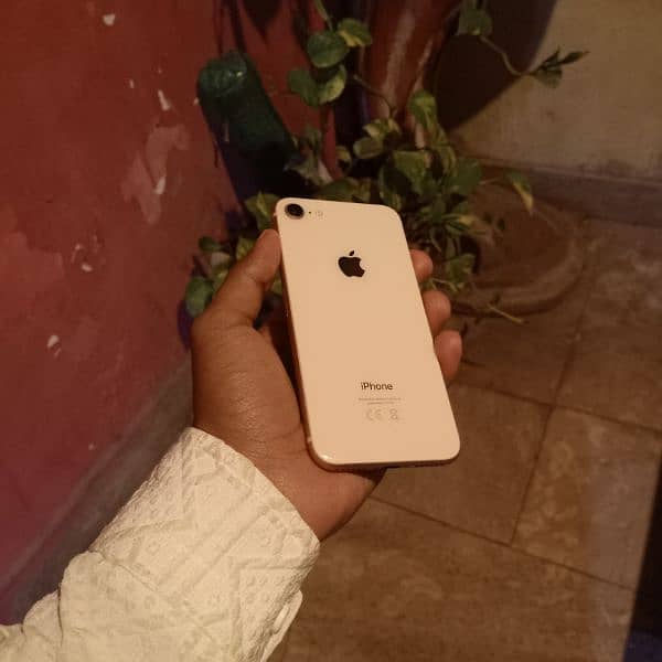 iphone 8 64gb non pta all ok 6