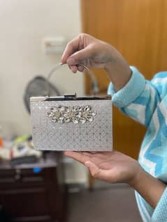 Elegant Silver Clutch