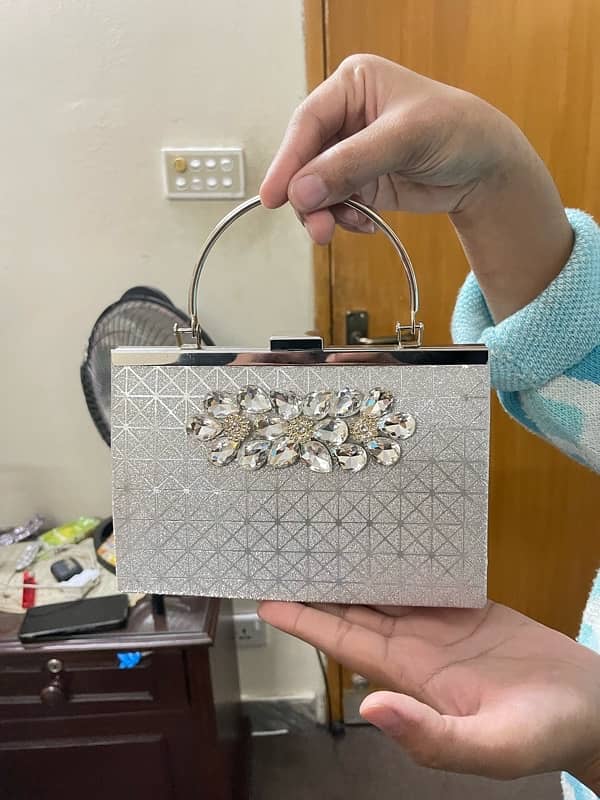 Elegant Silver Clutch 1