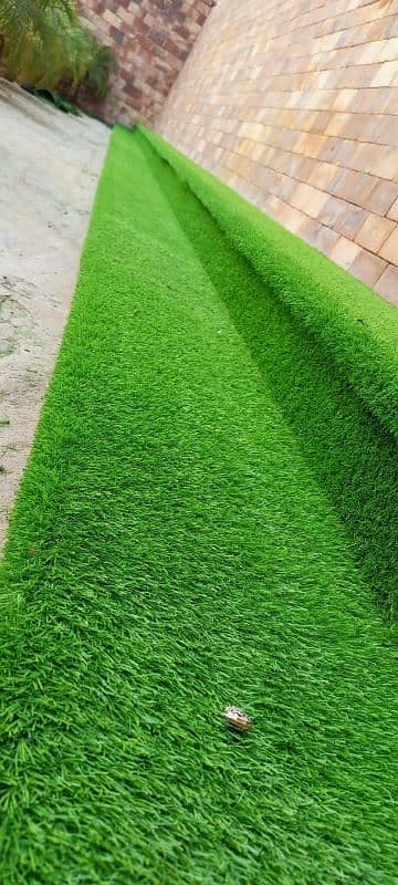 artificial grass 1