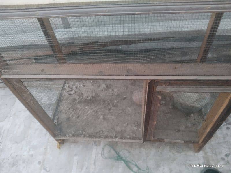 hens cage 4