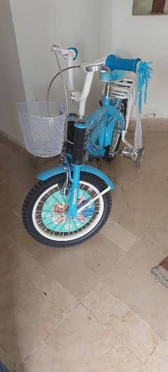 Kids Imported Bicycle