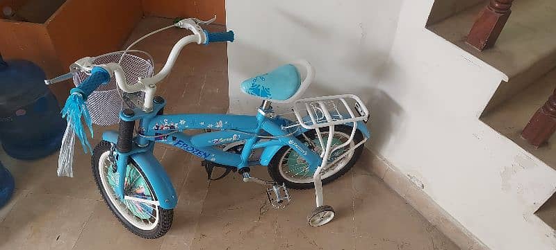 Kids Imported Bicycle 1