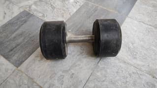 12 kg dumbbell