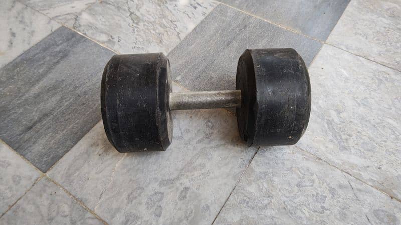 12 kg dumbbell 0