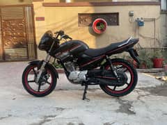 YBR 125 Black Bird for sale