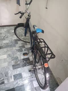 New Cycle for Sale