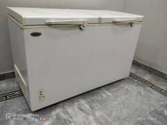 Waves Deep freezer twin door