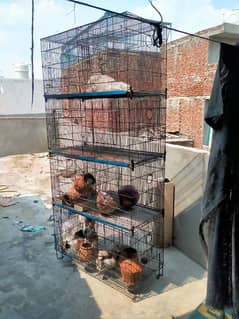 8 portion cage for sale