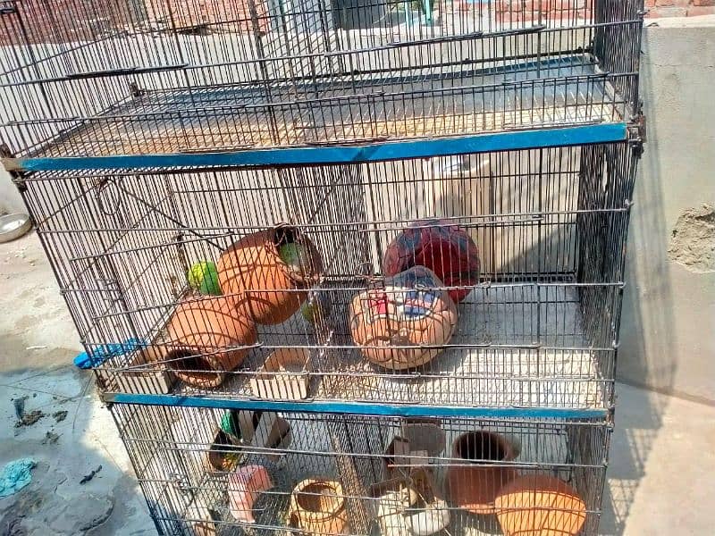 8 portion cage for sale 1