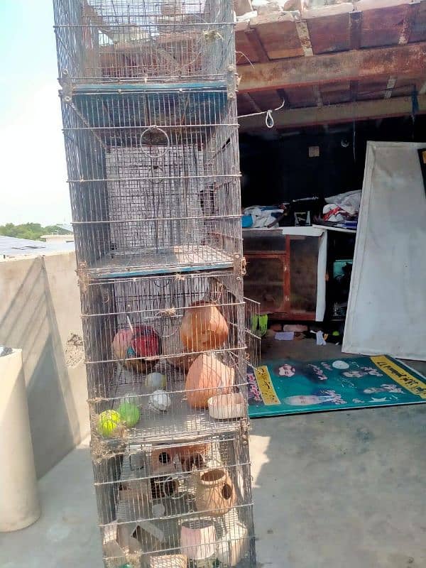 8 portion cage for sale 2