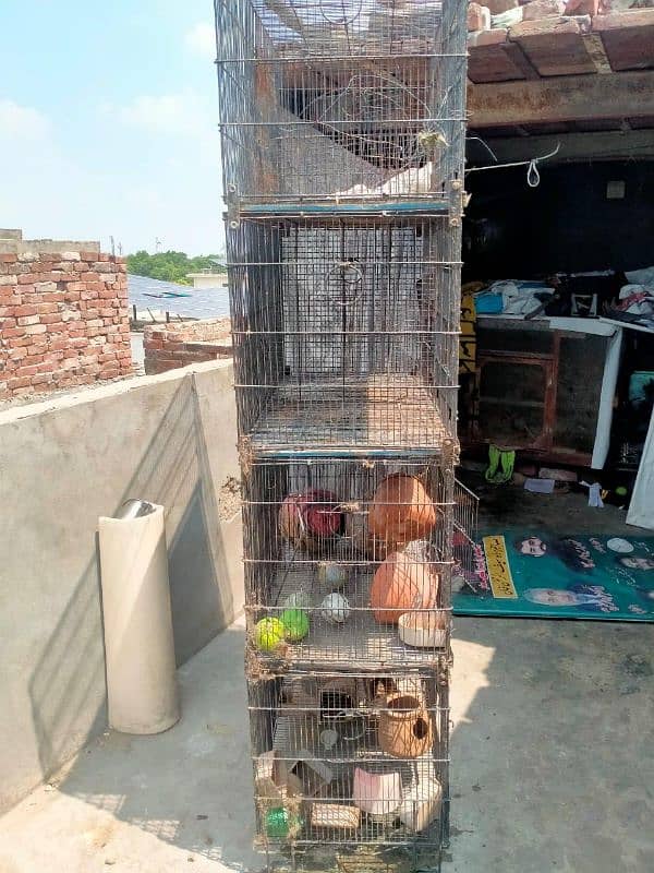 8 portion cage for sale 3