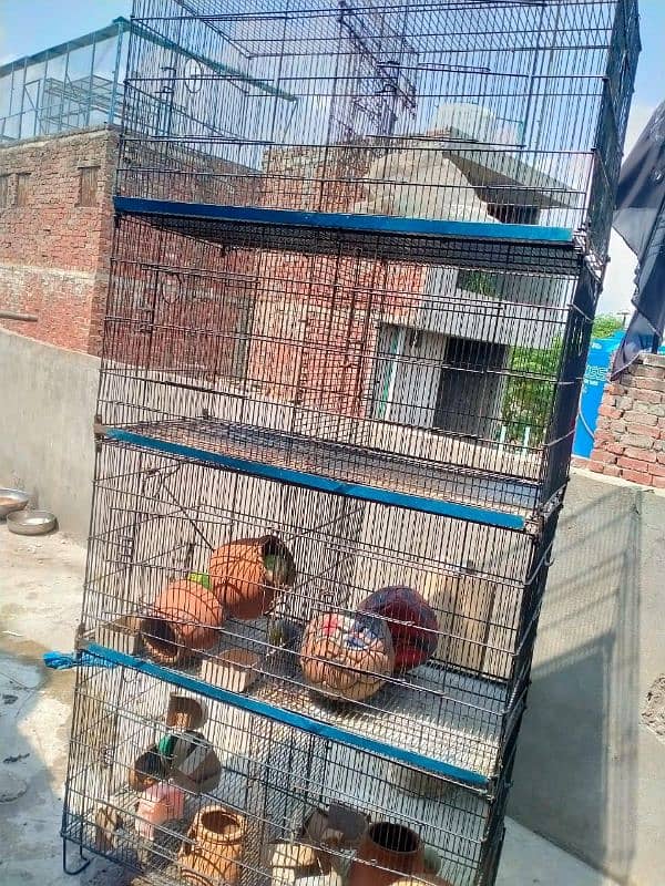 8 portion cage for sale 6