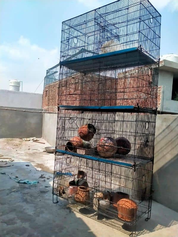 8 portion cage for sale 7