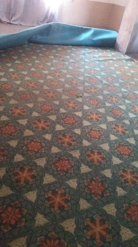 Carpet for Sale 2