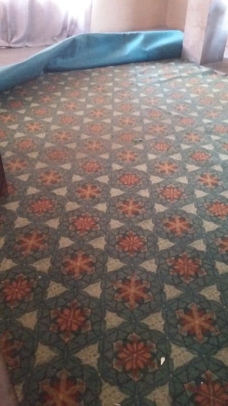 Carpet for Sale 4