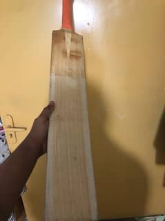 HARD BALL BAT CONDITION 10/9