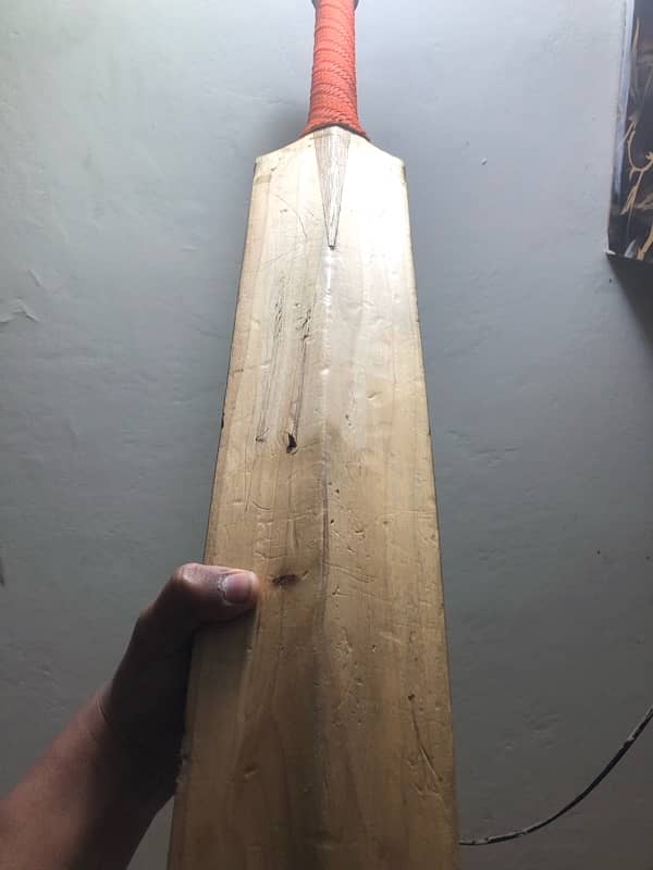 HARD BALL BAT CONDITION 10/9 2