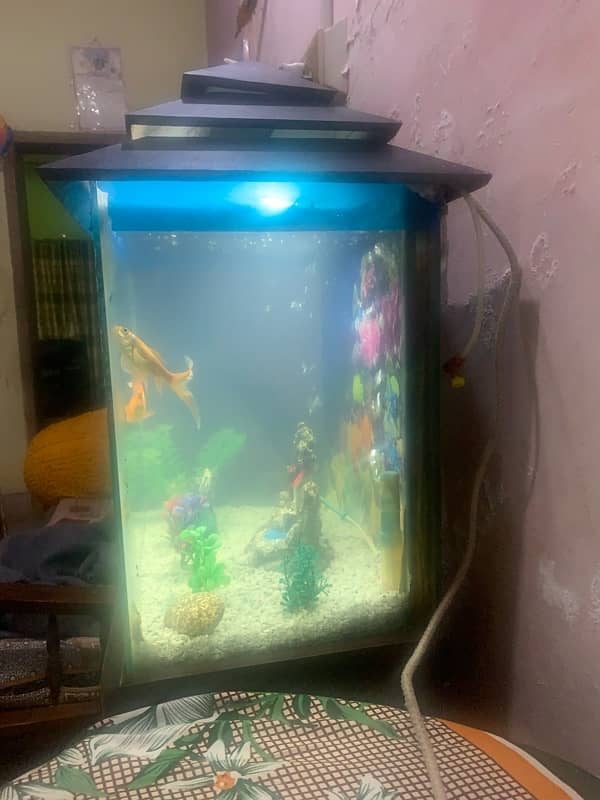 Fish Aquarium 4