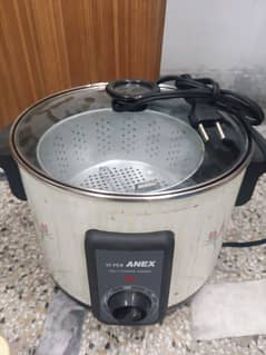 Deep fryer anex