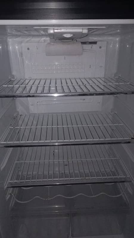 pel glassdoor refrigerator 3