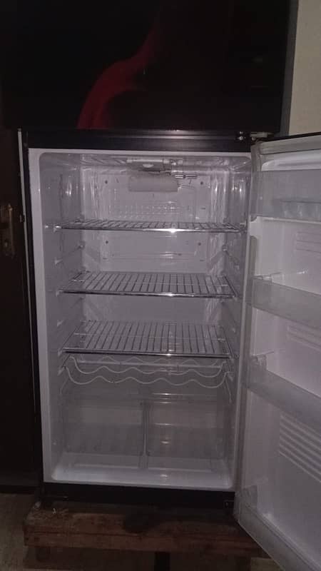 pel glassdoor refrigerator 5