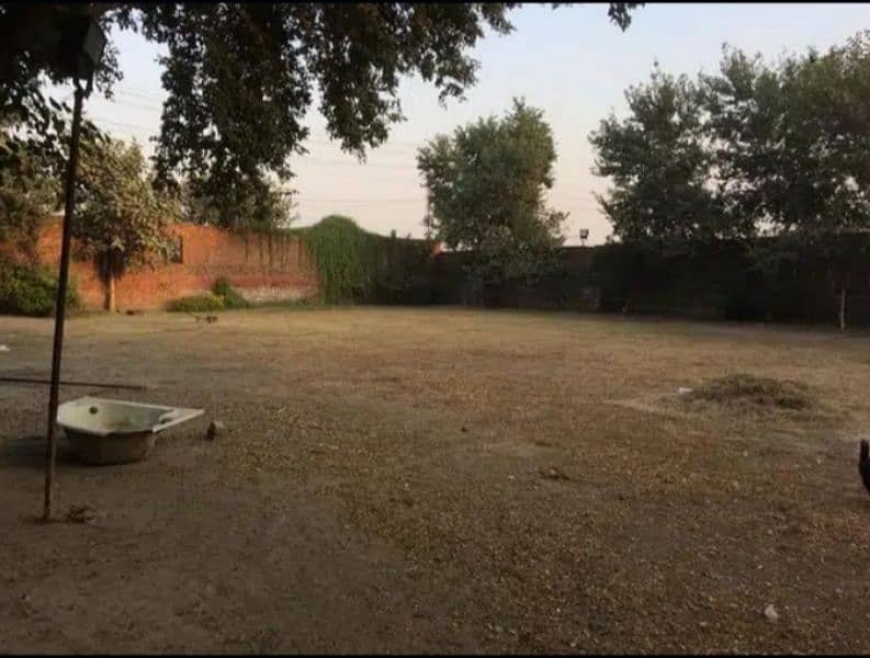 3 Kanal Plot for Rent 1