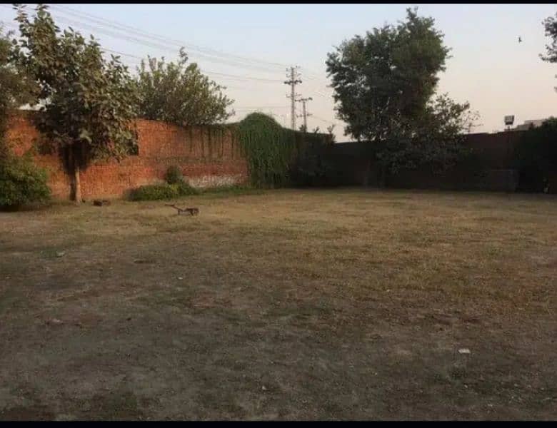 3 Kanal Plot for Rent 3