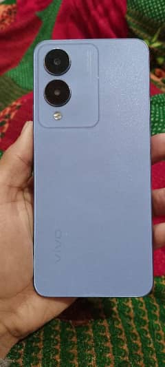 vivo