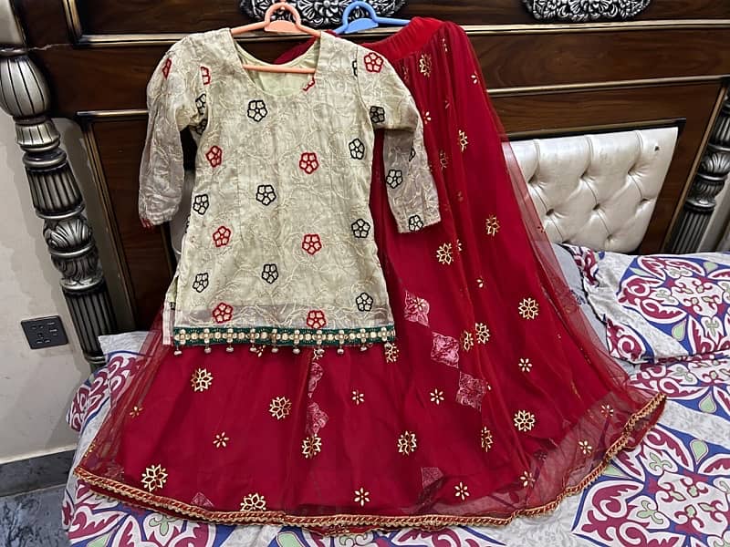 lehnga choli 5