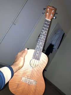 ukulele