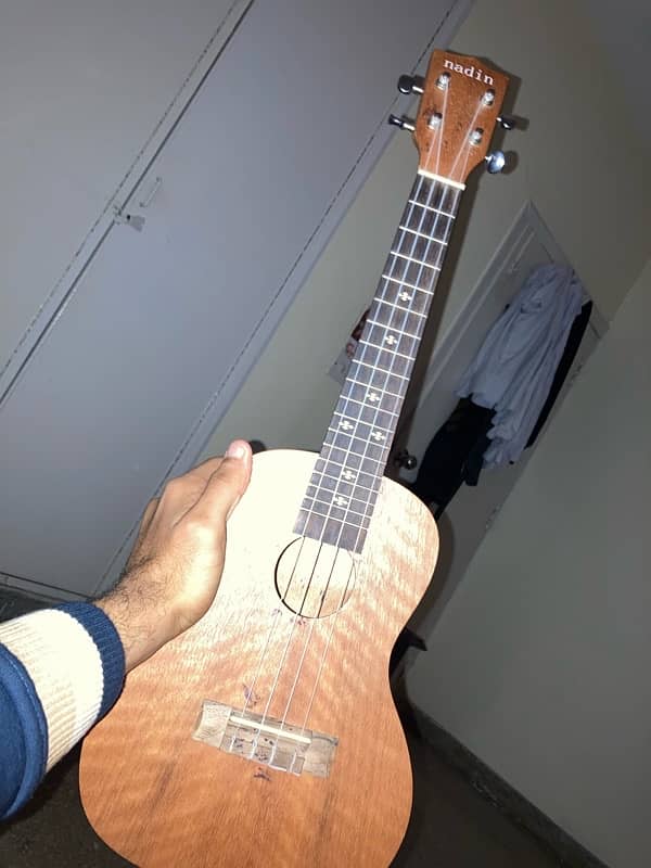 ukulele (concert) 0