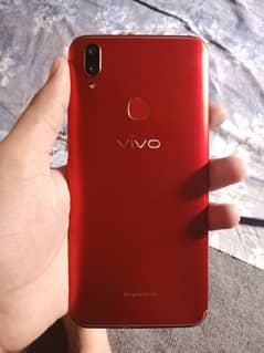 vivo