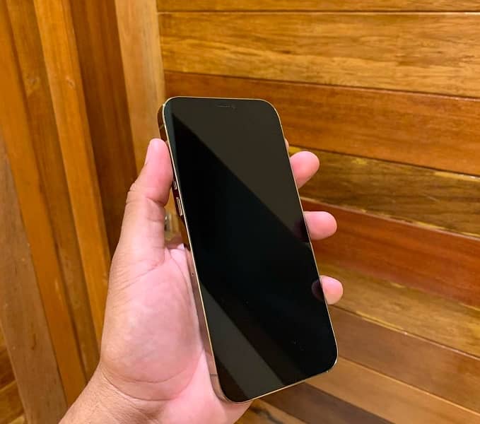 iphone 12 pro max 1